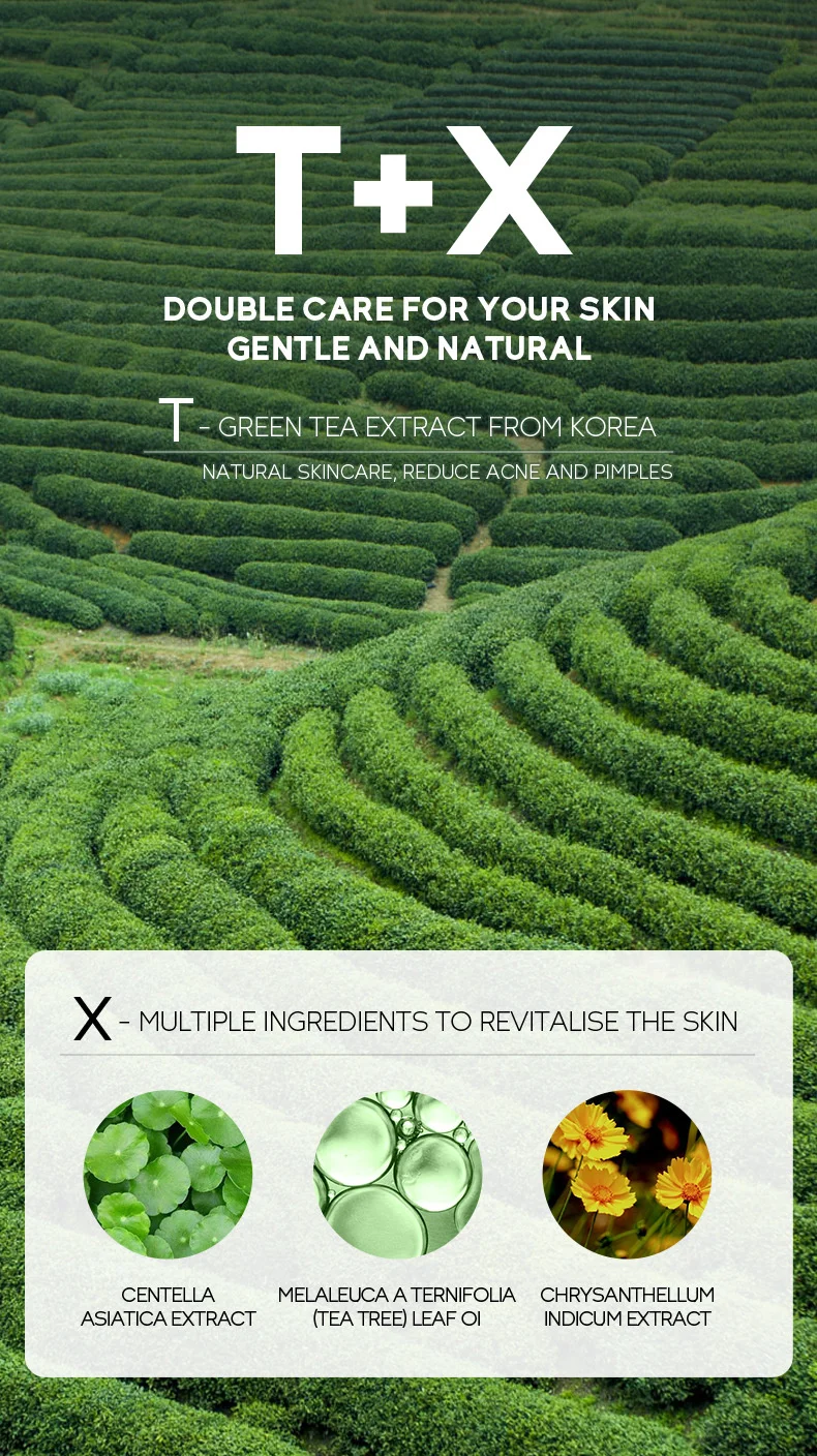 Green Tea Face Cream – Centella 40g