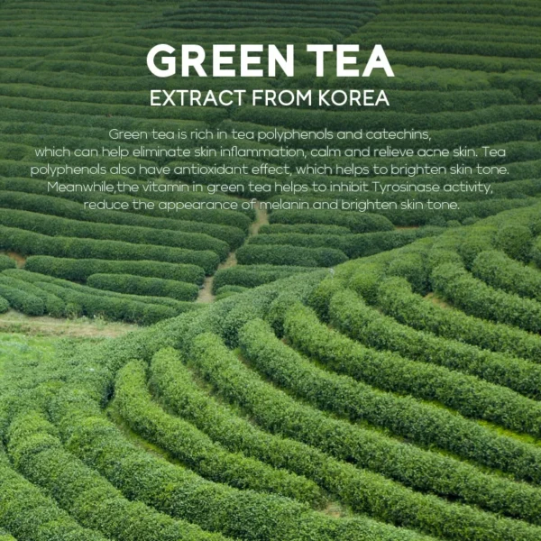 Green Tea Mud Mask – Sakura Clay 100pcs - Image 5