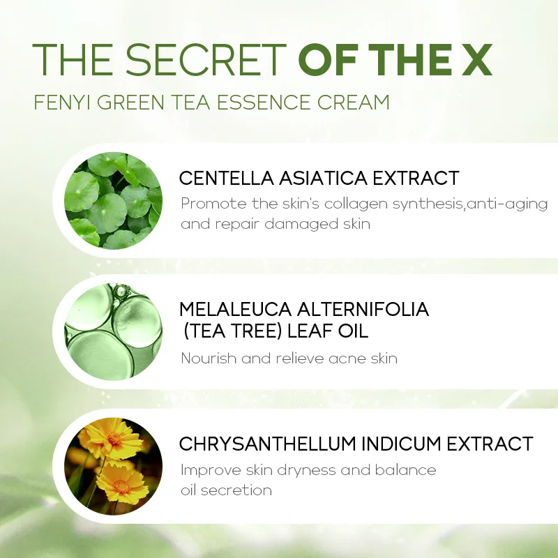 Green Tea Face Cream – Centella 40g Green Tea Face Cream – Centella 40g - Image 5