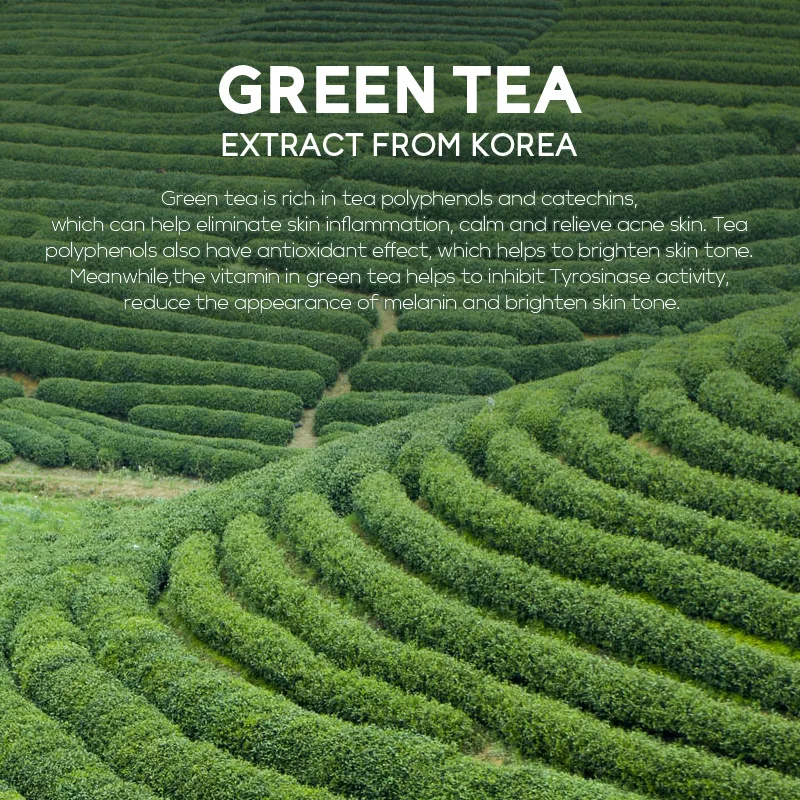 Green Tea Face Cream – Centella 40g Green Tea Face Cream – Centella 40g - Image 6